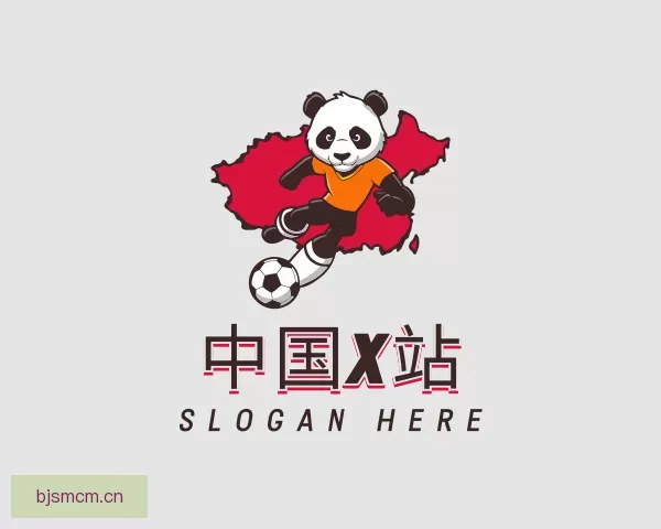 关于中国x站app官网